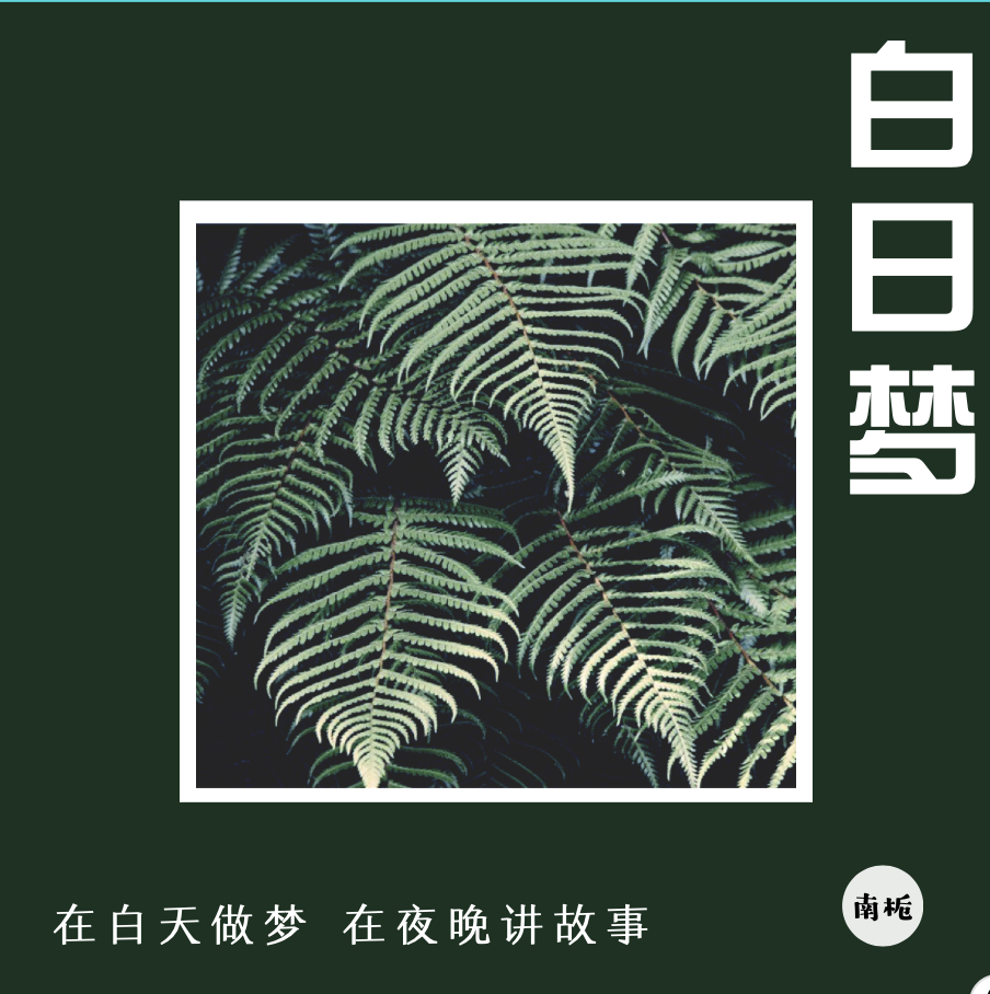 白日梦