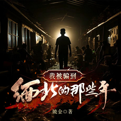 我被骗到缅北的那些年丨多人剧丨人间炼狱 我被骗到缅北的那些年丨多人剧丨人间炼狱