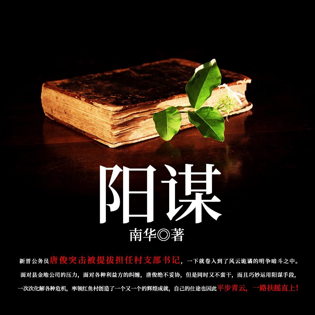 阳谋