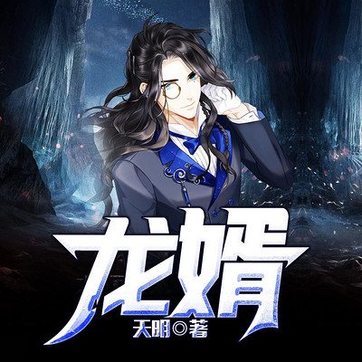 龙婿 龙婿
