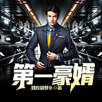 第一豪婿