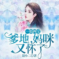 一胎两宝：爹地，妈咪又怀了