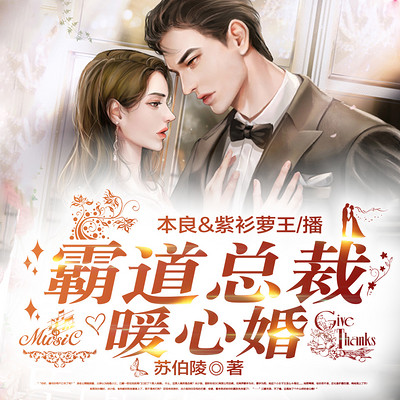 霸道总裁暖心婚