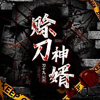 赊刀神婿