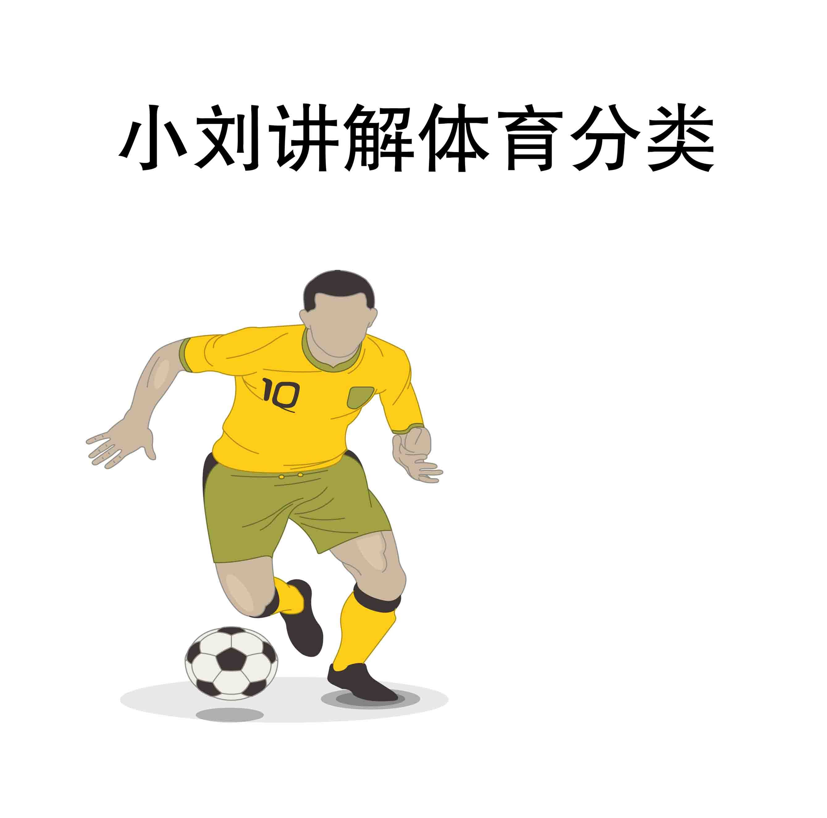 小刘讲解体育分类