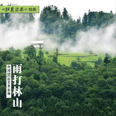 赵文多&彭博：雨打林山