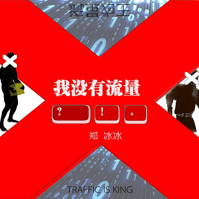 郑冰冰：我没有流量