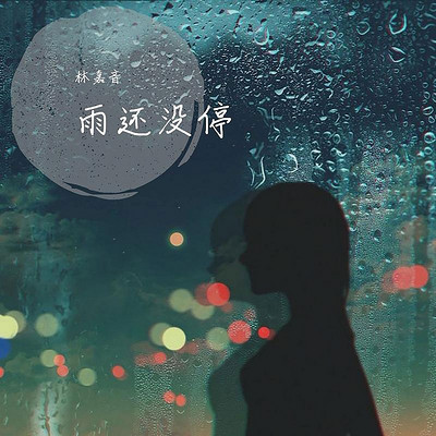 林嘉音：雨还没停