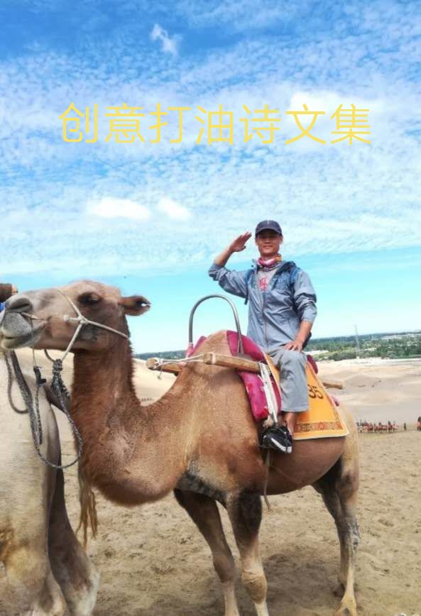 创意打油诗文集