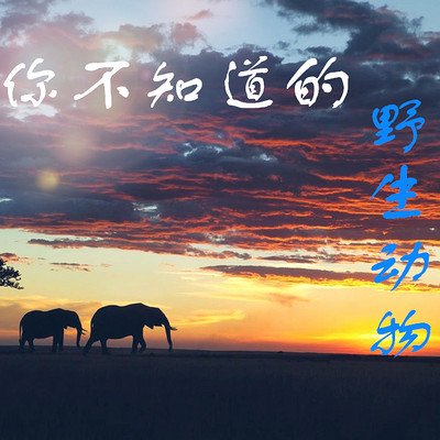 你不知道的野生动物 你不知道的野生动物