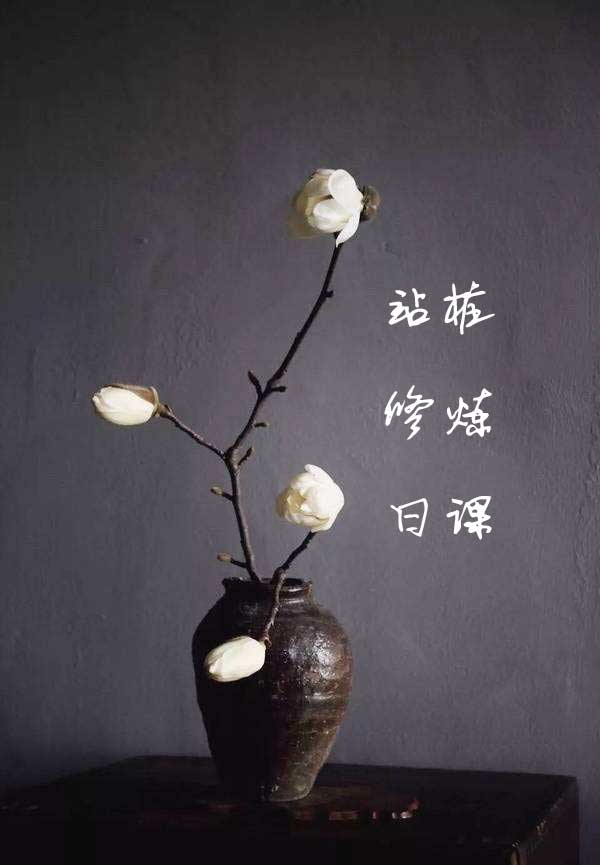 站桩修炼日课