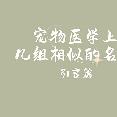 宠物医学上几组相似的名词