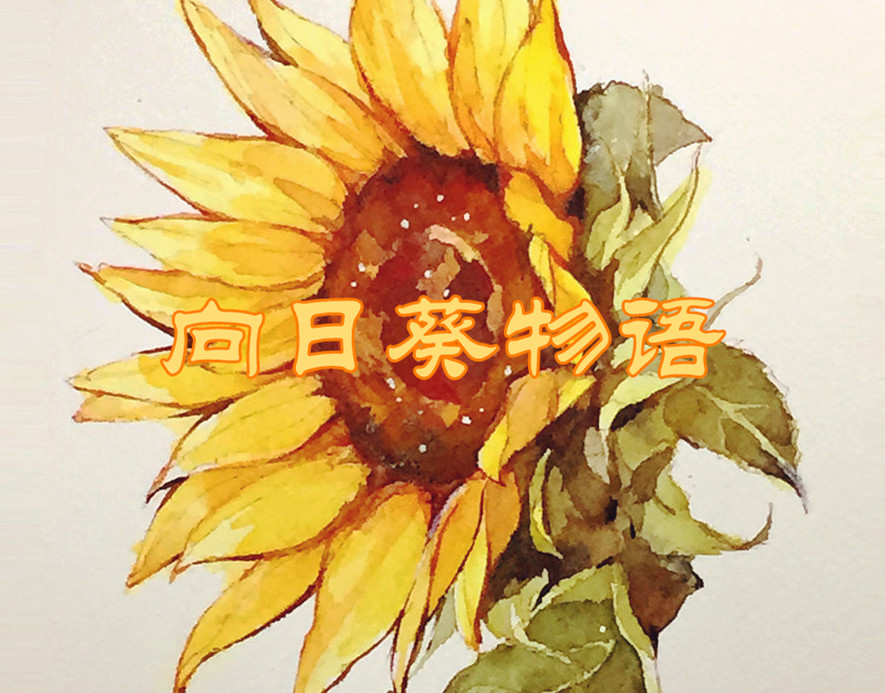 向日葵物语