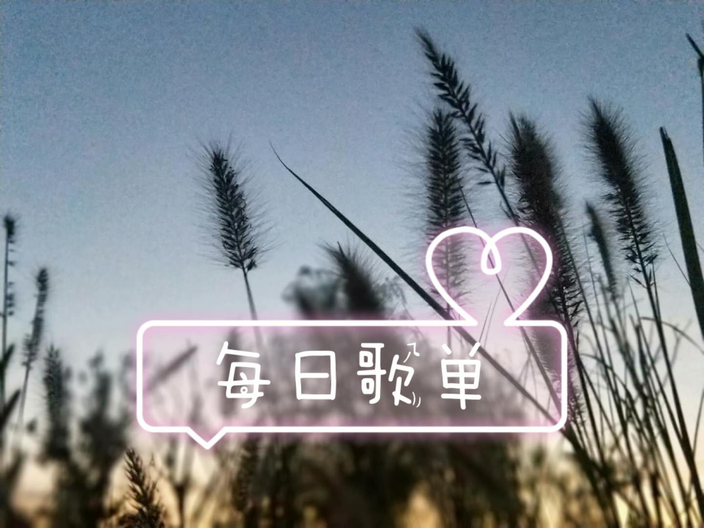 每日歌单