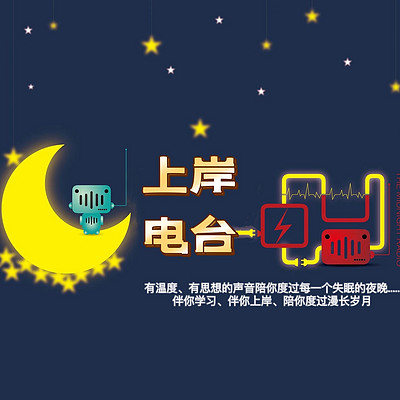 上岸电台