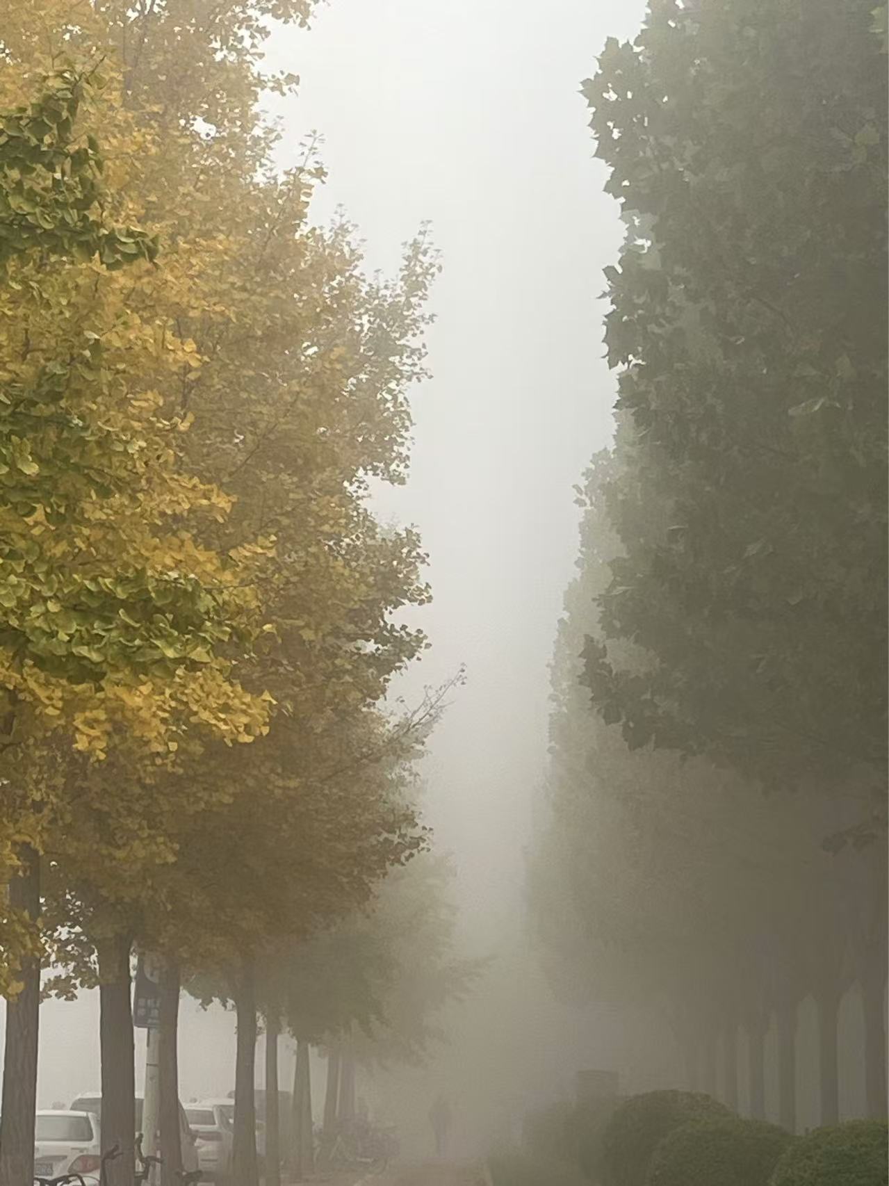 《从负数开始学理财》