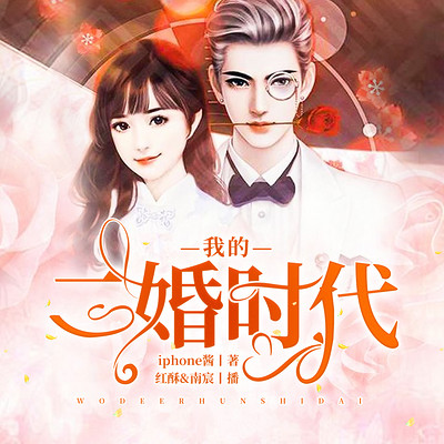 我的二婚时代 我的二婚时代