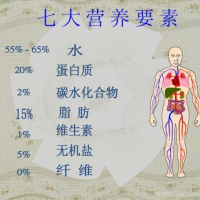 营养如何治疗疾病 第一部 营养如何治疗疾病 第一部