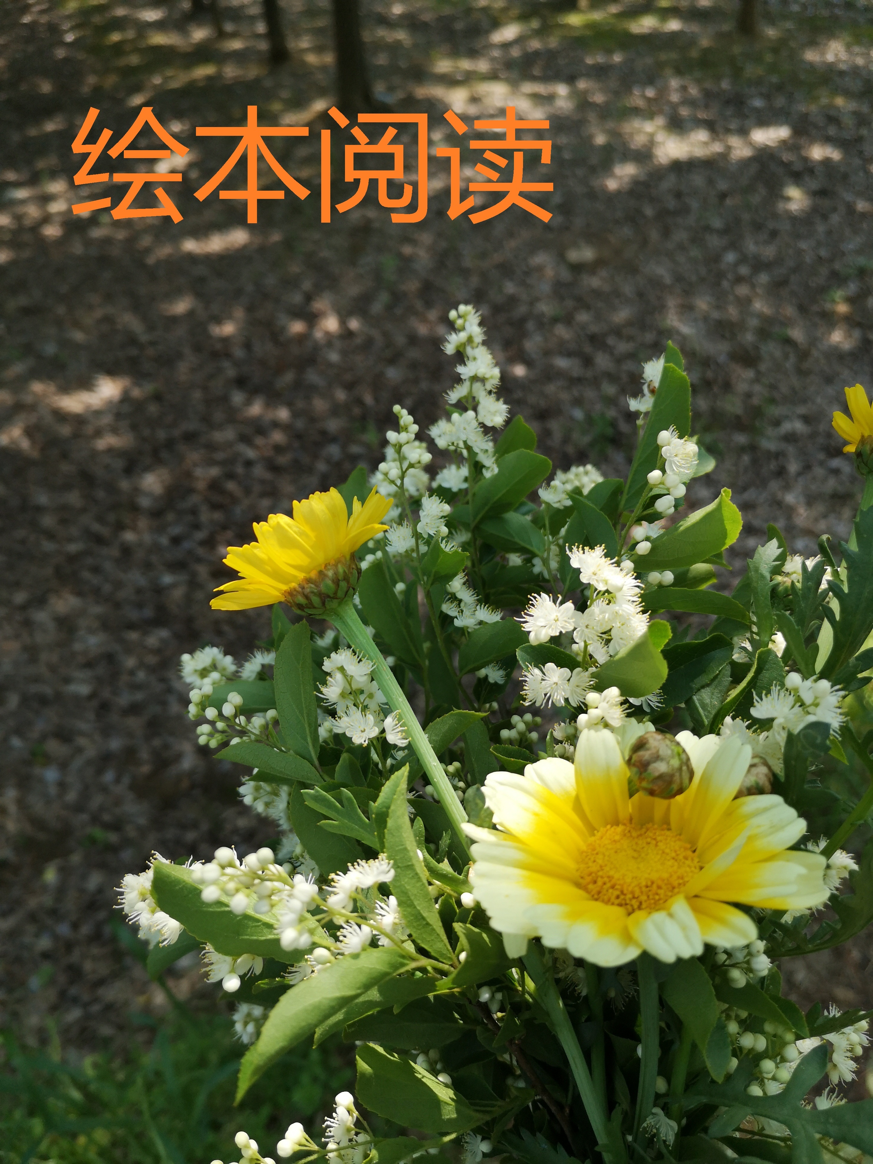多多小闪电和大家一起绘本阅读