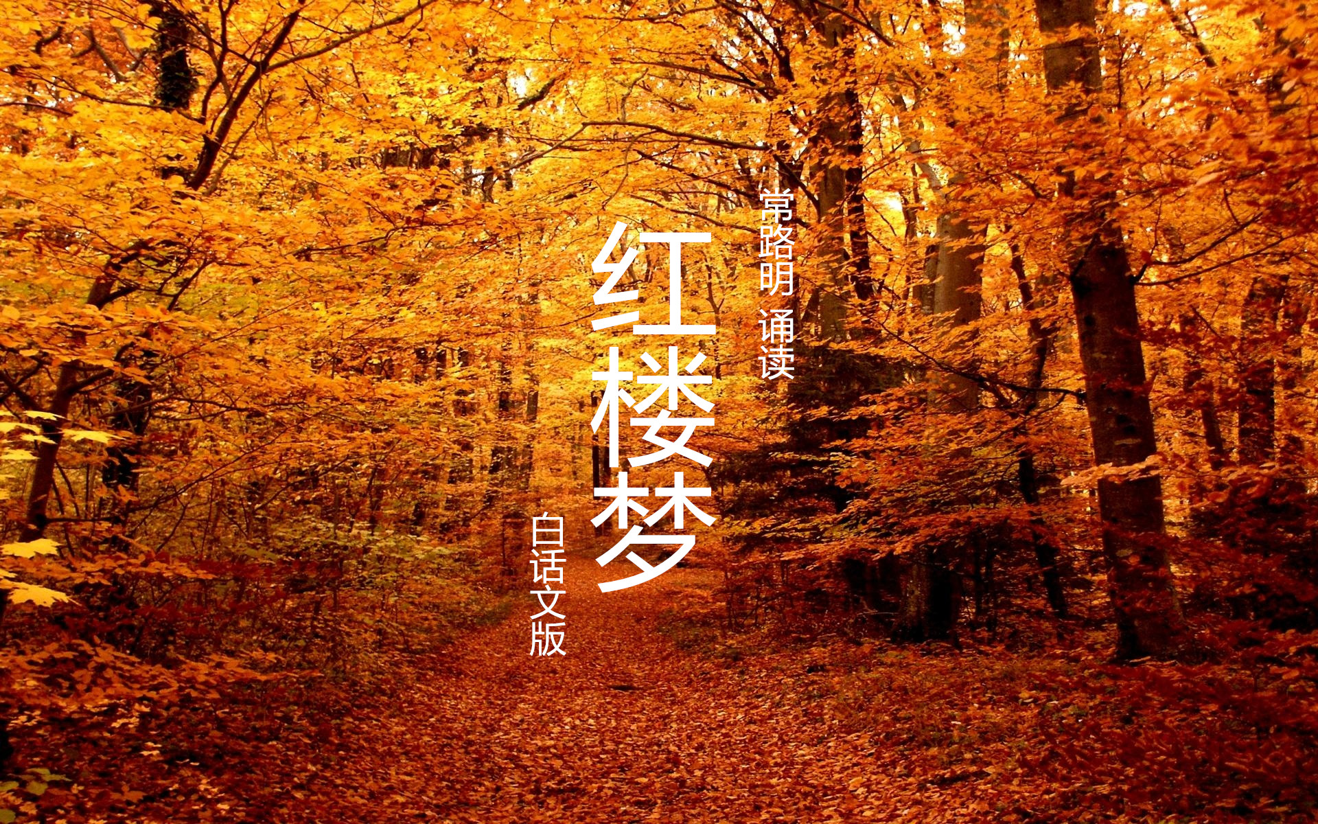 红楼梦：白话文版