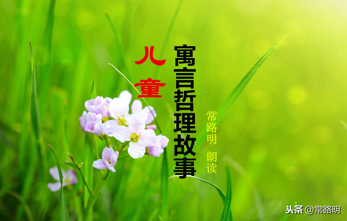 儿童寓言哲理故事