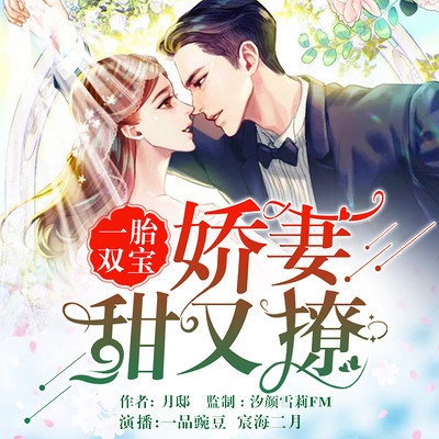 一胎双宝:娇妻甜又撩 一胎双宝:娇妻甜又撩