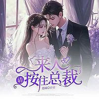 来人，请按住总裁丨霸道甜宠豪门婚恋多人剧