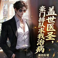 盖世医圣，豪门排队求我治病