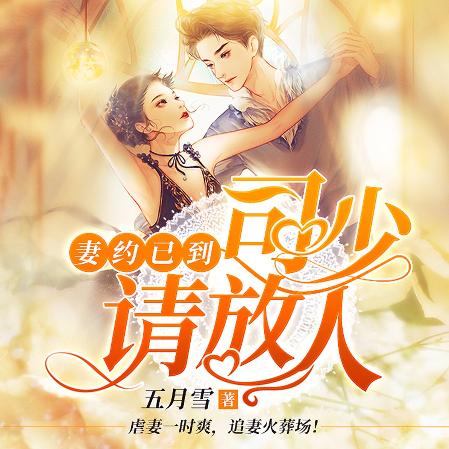 妻约已到：司少请放人