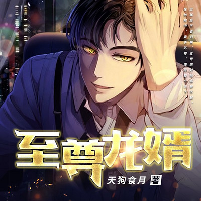至尊龙婿