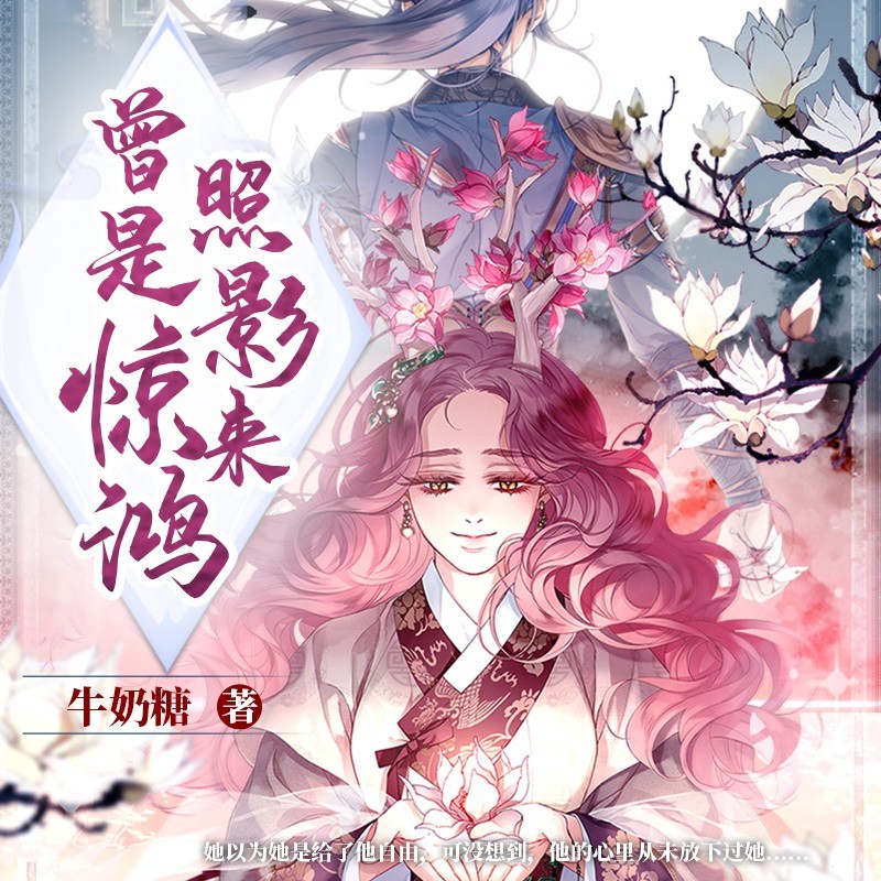 曾是惊鸿照影来丨短篇丨古风言情丨虐恋情深
