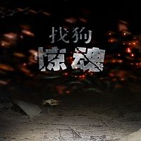 找狗惊魂