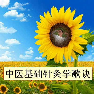 中医基础针灸学歌诀