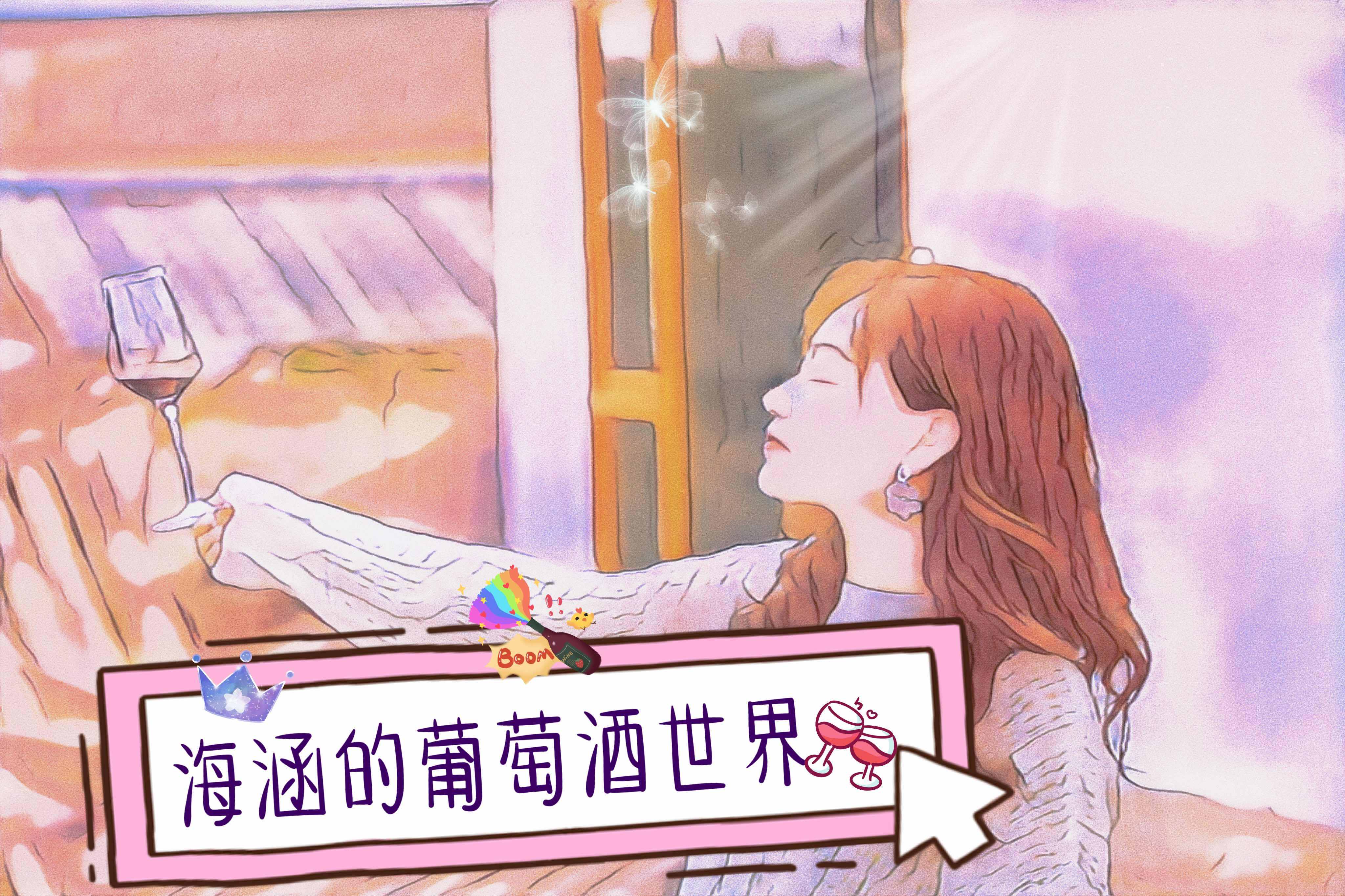 海涵的葡萄酒世界