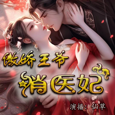 傲娇王爷俏医妃 傲娇王爷俏医妃