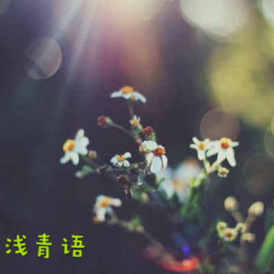 浅青语