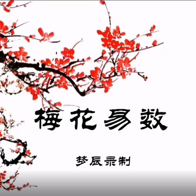 梅花易数通俗版