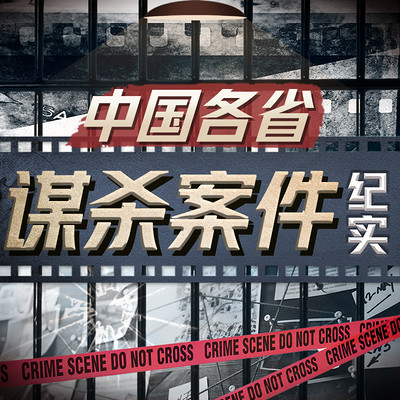 老王讲大案:都市伦理罪案 老王讲大案:都市伦理罪案