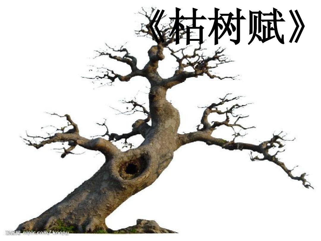 《枯树赋》庾信