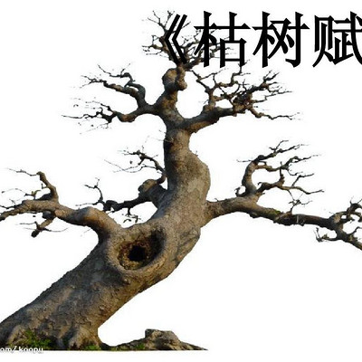 《枯树赋》庾信 《枯树赋》庾信
