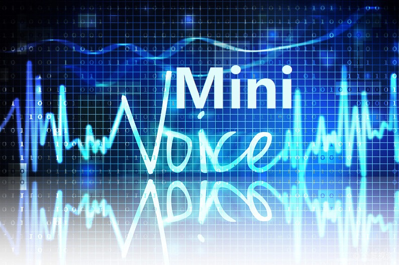 Mini Voice