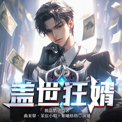 盖世狂婿 盖世狂婿