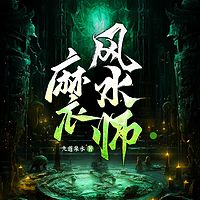 麻衣风水师（新评书）