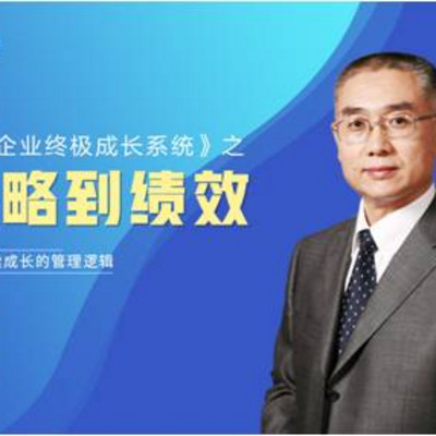 企业持续成长管理法则——从战略到绩效