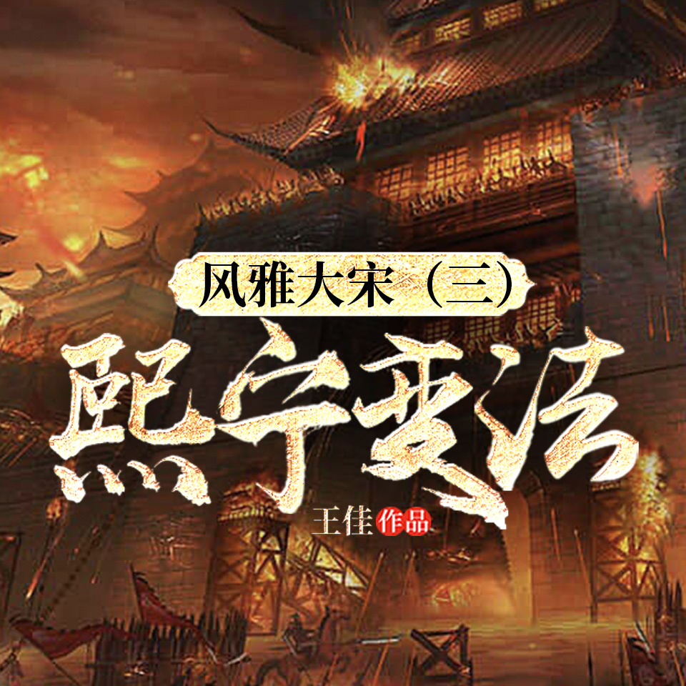 风雅大宋（三）：熙宁变法|宋史必读官场