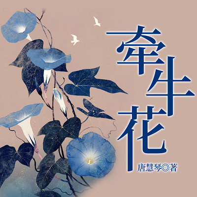 牵牛花|六姊妹同款|家庭伦理&婆媳矛盾