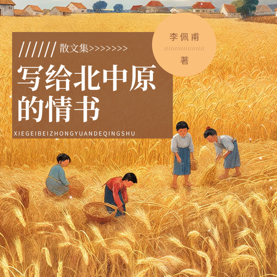 写给北中原的情书|《大染坊》同款|茅奖