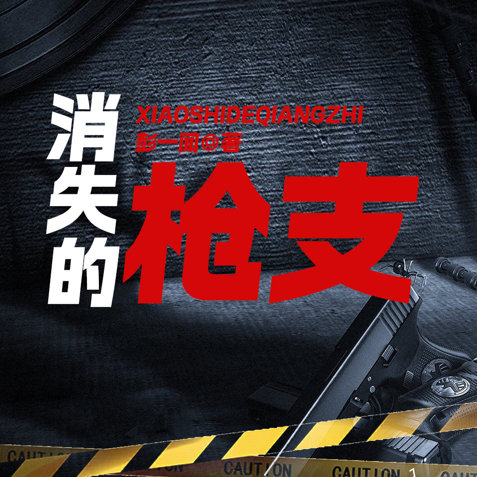 消失的枪支|《燃罪》同款都市刑侦悬疑