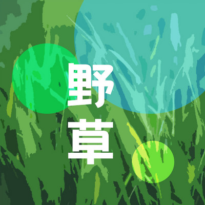 野草 野草