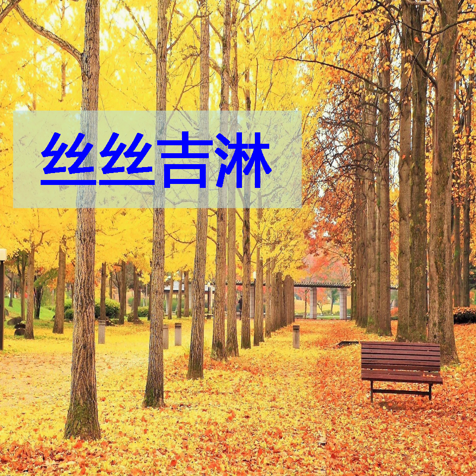 丝丝吉淋